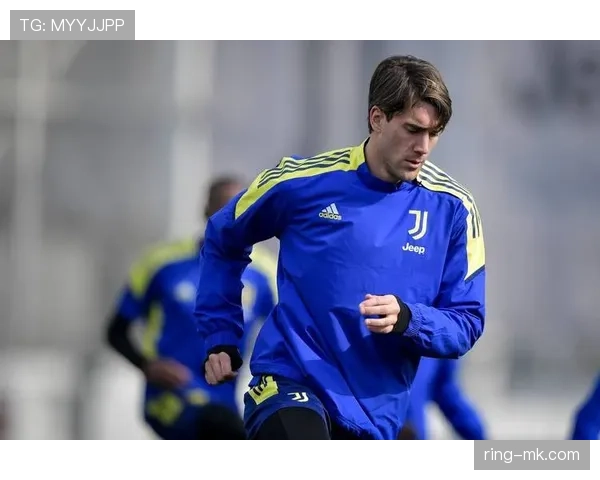 弗拉霍维奇闪耀意甲，稳健发挥助球队延续胜利传奇